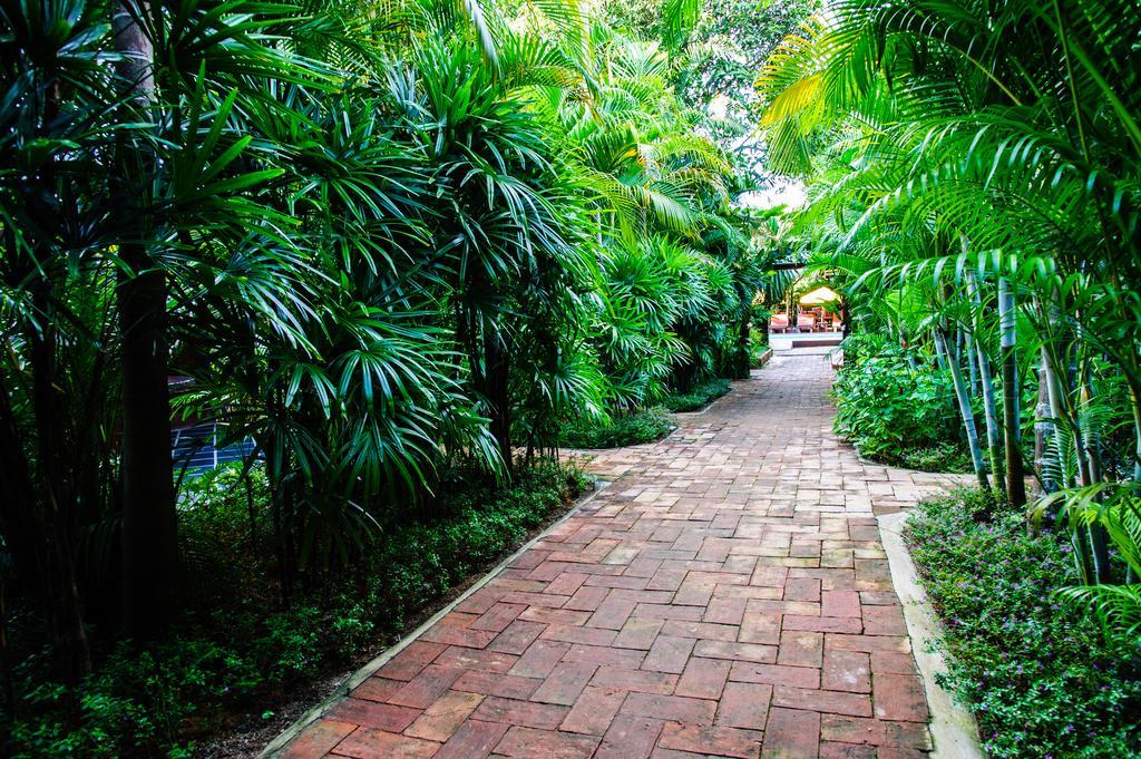 Baanpong Lodge San Kamphaeng Buitenkant foto